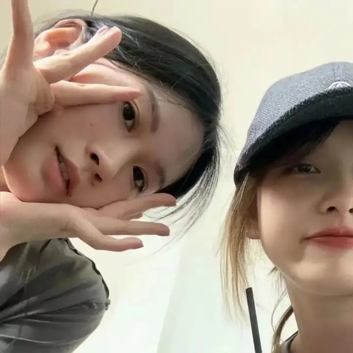 崔弟的高飞冒险 海报